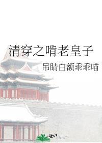 清穿之啃老皇子百度资源