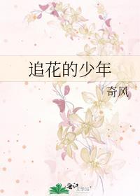 追赶的少年
