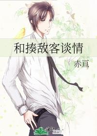 和揍敌客谈情不说爱