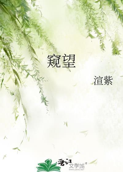 窥望拼音