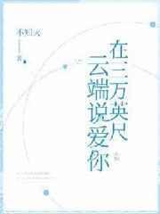 在三万英尺云端说爱你作者