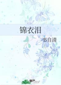 锦衣泪gl书自清笔趣阁