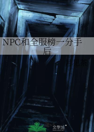 NPC和全服榜一分手后txt