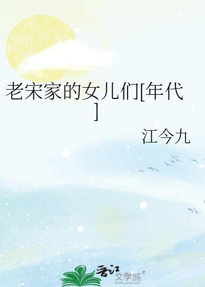 老宋叫什么电视剧