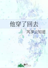 他穿了回去txt宝书