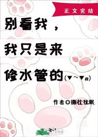 别看我我只是来修水管