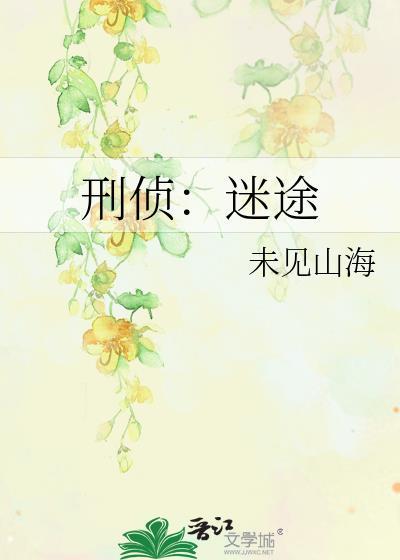 刑侦迷途TXT全文