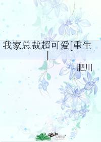 我家总裁超酷的无删减版