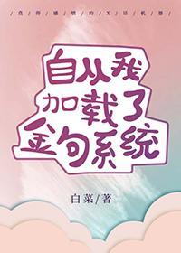 自从我加载了金句系统百度