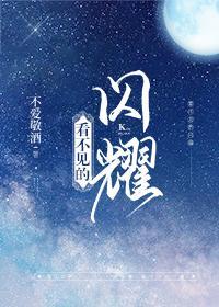 看不见的闪耀全文免费阅读