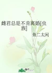 先生总是不肯离婚车