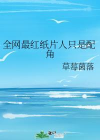 纸片人是?