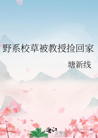 这是我老婆是什么梗
