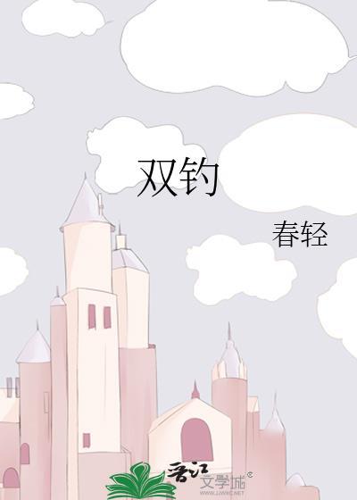 双锦衣剧情简介