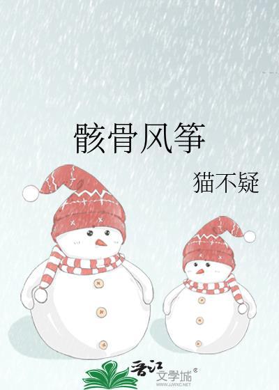 骸骨风筝txt