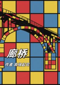 廊桥遗梦书正版