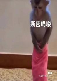 泡芙小姐泳装比赛是哪一集