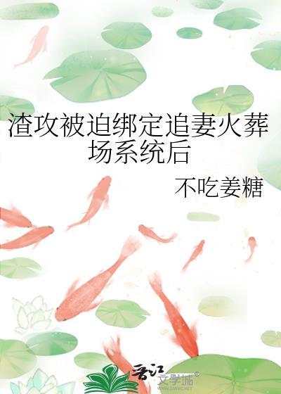 渣攻追妻火葬场之后by