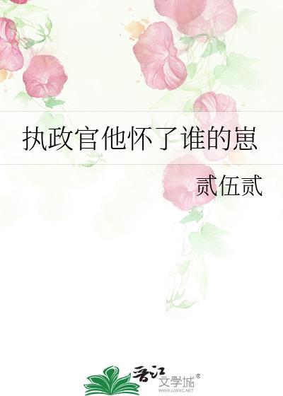 执政官N
