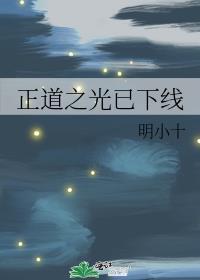 正道之光已下线134章