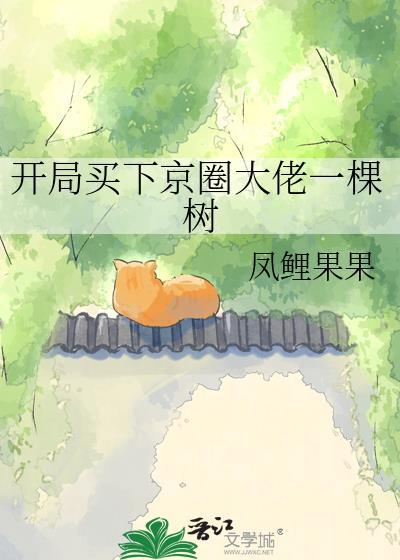 开局买了