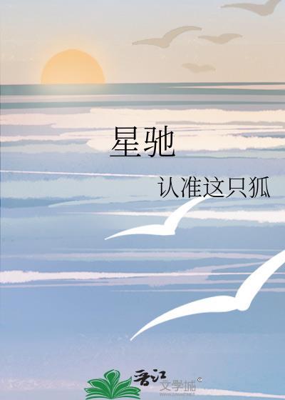 星驰电发