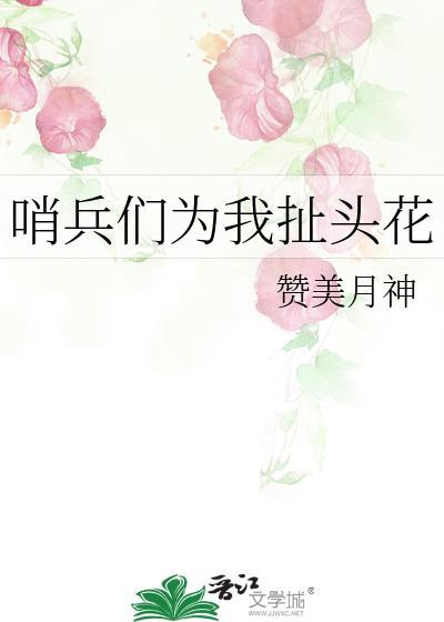 哨兵的年华