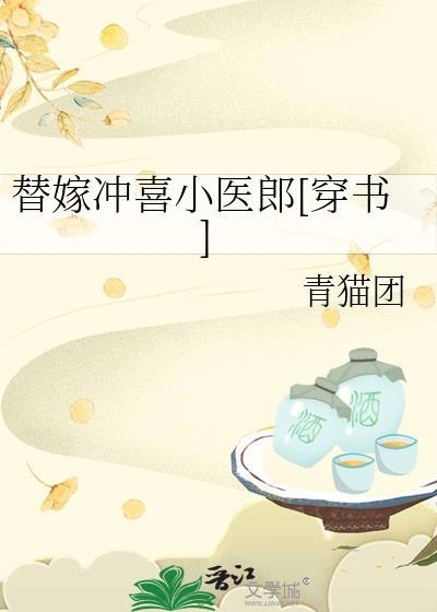 替嫁冲喜小医郎穿书txt