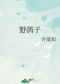 野鸽子能养活吗