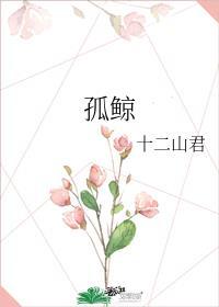 孤鲸lolita