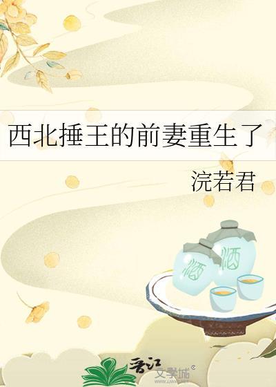 西北王是什么意思
