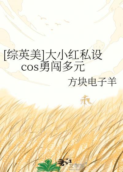 大小红dc
