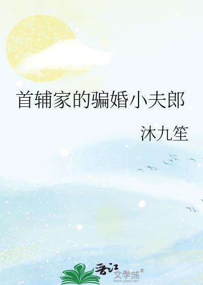 首辅家骗婚小夫郎免费阅读