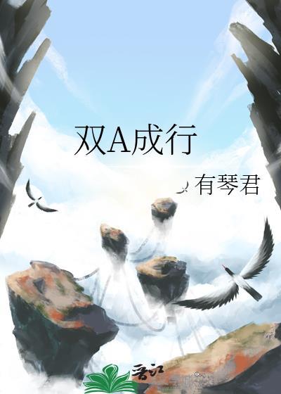 双A成行by有琴君txt