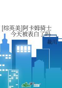 阿卡姆骑士的真实身份