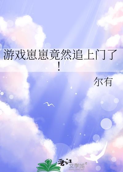 崽崽的游戏