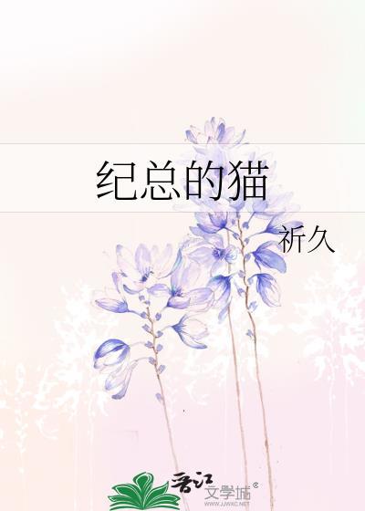 纪总的猫百度