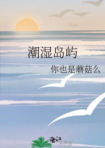 潮汐岛在哪里