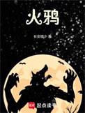 火鸦点化需要多少