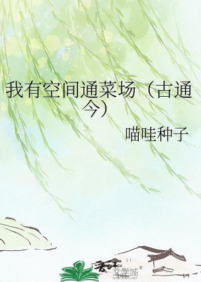 我有空间通菜场(古通今)喵哇种子笔趣