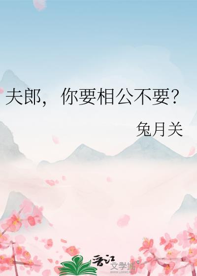 夫郎要相公不txt