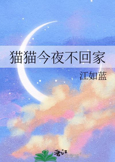 猫 不回家