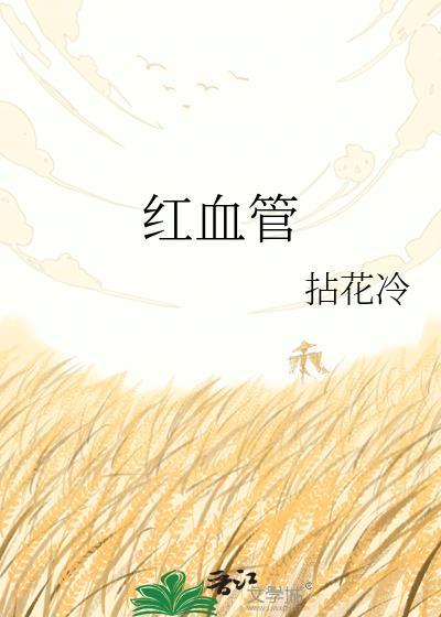 红血管txt
