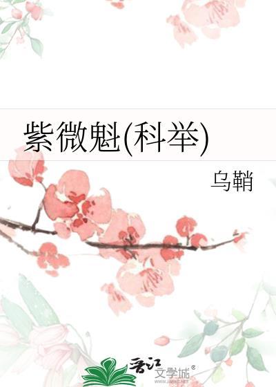 紫微 入门