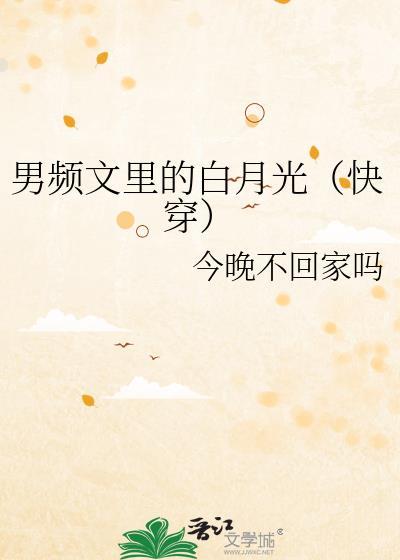 男频文是啥意思
