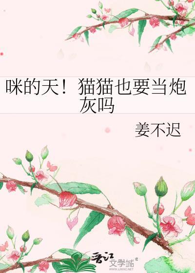 猫猫也可以做老婆全文未删减免费阅读笔趣阁
