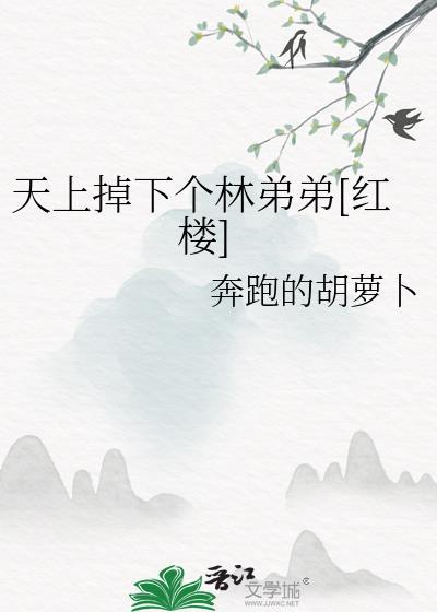 天上掉下个林妹妹免费阅读