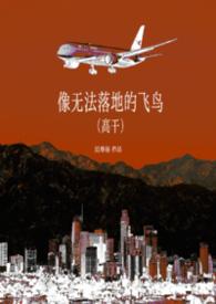 像无法落地的飞鸟by阿阮有酒全文阅读
