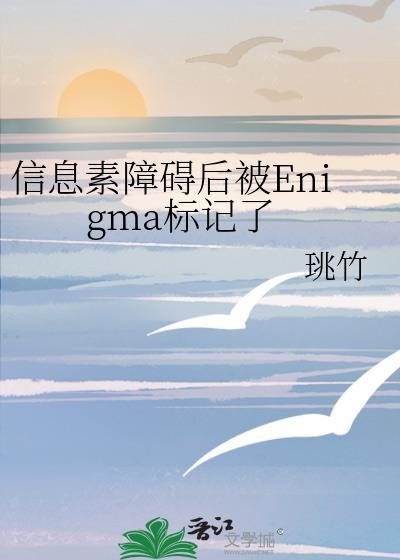 信息素障碍后被Enigma标记了作者link可/珧竹