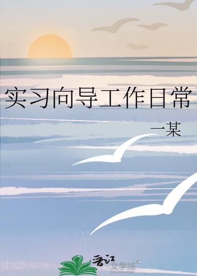 实习向导工作日常一某全文免费阅读